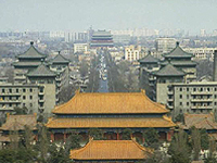 需要の高まる中国語